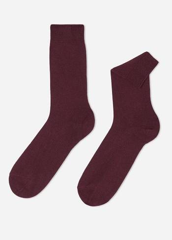 Calzedonia Crew with Cashmere Muške Čarape Bordo | HR1350QZ