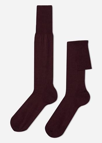 Calzedonia Lisle Thread Long Muške Čarape Bordo | HR1430EX