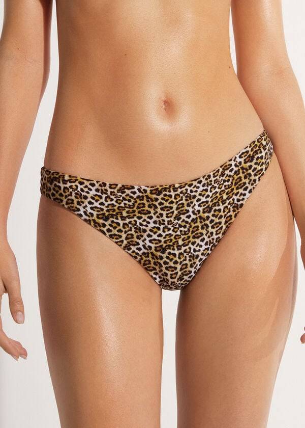 Calzedonia Malindi Ženske Donji Dio Bikinija Smeđe | HR2692JJ